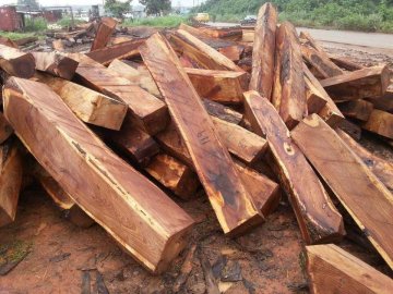木材进口全流程之非洲刺猬紫檀进口报关案例