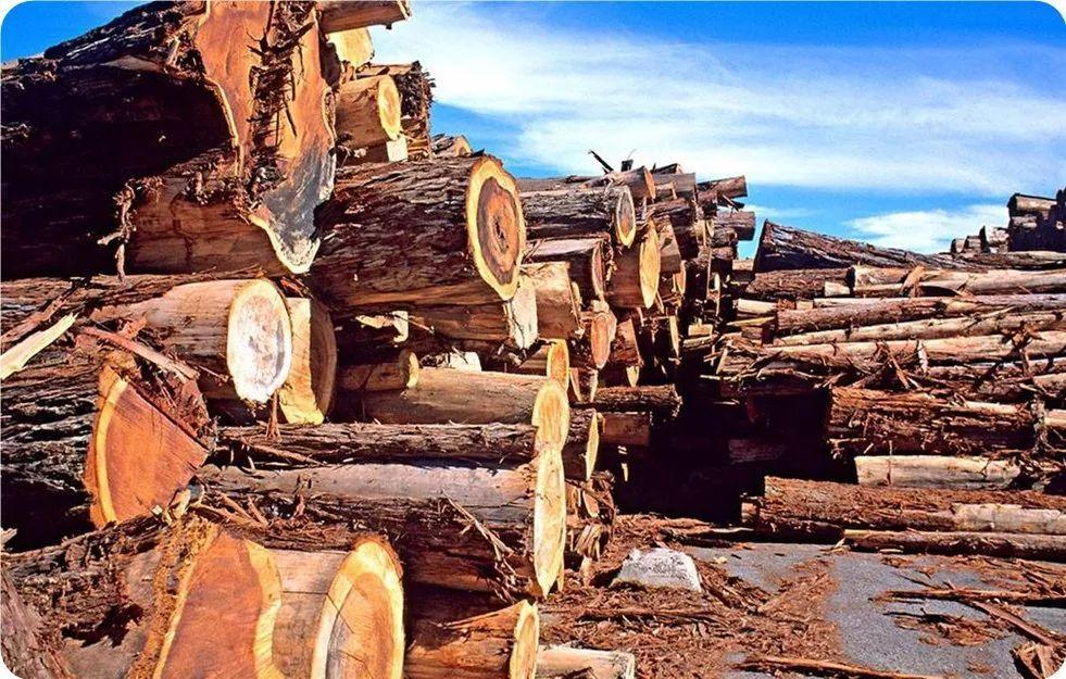 进口东南亚木材到国内所有的资料，报关手续流程